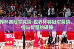 世界杯赛冠军竞猜-世界杯赛冠军竞猜，激情与智慧的碰撞