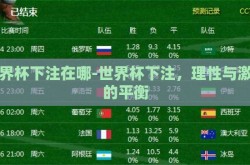 世界杯下注在哪-世界杯下注，理性与激情的平衡