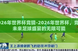2026年世界杯竞猜-2026年世界杯，竞猜未来足球盛宴的无限可能
