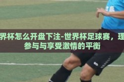 世界杯怎么开盘下注-世界杯足球赛，理性参与与享受激情的平衡