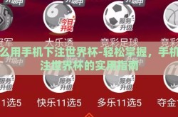 怎么用手机下注世界杯-轻松掌握，手机下注世界杯的实用指南