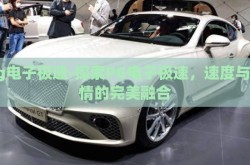 pg电子极速-探索PG电子极速，速度与激情的完美融合