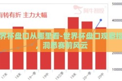 世界杯盘口从哪里看-世界杯盘口观察指南，洞悉赛前风云