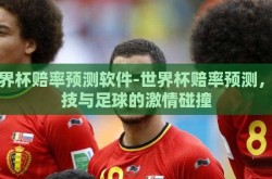 世界杯赔率预测软件-世界杯赔率预测，科技与足球的激情碰撞