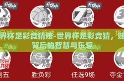 世界杯足彩竞猜赔-世界杯足彩竞猜，赔率背后的智慧与乐趣