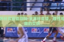 世界杯竞猜能赢吗-世界杯竞猜，理性与乐趣的交织