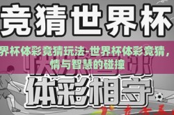 世界杯体彩竞猜玩法-世界杯体彩竞猜，激情与智慧的碰撞