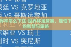 世界杯怎么下注-世界杯足球赛，理性下注的智慧与策略