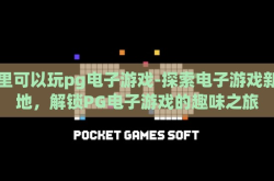 哪里可以玩pg电子游戏-探索电子游戏新天地，解锁PG电子游戏的趣味之旅