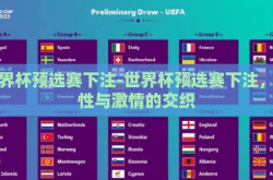 世界杯预选赛下注-世界杯预选赛下注，理性与激情的交织