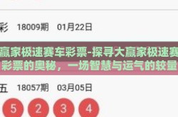 大赢家极速赛车彩票-探寻大赢家极速赛车彩票的奥秘，一场智慧与运气的较量