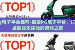 pg电子平台推荐-探索PG电子平台，打造卓越娱乐体验的智慧之选