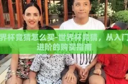世界杯竞猜怎么买-世界杯竞猜，从入门到进阶的购买指南