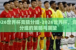 2026世界杯竞猜分组-2026世界杯，竞猜分组的策略与展望