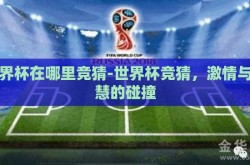 世界杯在哪里竞猜-世界杯竞猜，激情与智慧的碰撞