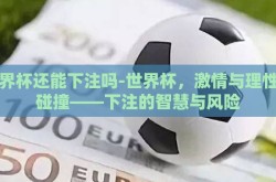 世界杯还能下注吗-世界杯，激情与理性的碰撞——下注的智慧与风险