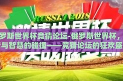 俄罗斯世界杯竞猜论坛-俄罗斯世界杯，激情与智慧的碰撞——竞猜论坛的狂欢盛宴