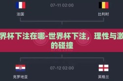 世界杯下注在哪-世界杯下注，理性与激情的碰撞