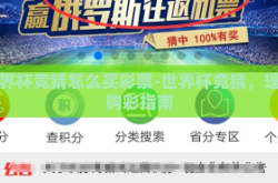 世界杯竞猜怎么买彩票-世界杯竞猜，理性购彩指南