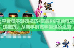 pg平台电子游戏技巧-掌握PG平台电子游戏技巧，从新手到高手的进阶之路