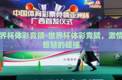 世界杯体彩竞猜-世界杯体彩竞猜，激情与智慧的碰撞