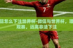 微信怎么下注世界杯-微信与世界杯，理性观赛，远离非法下注