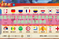 在哪里可以下注世界杯-探索世界杯下注的合法途径与注意事项