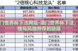 澳门世界杯下注网址-澳门世界杯下注，理性与风险并存的抉择