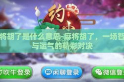 麻将胡了是什么意思-麻将胡了，一场智慧与运气的精彩对决