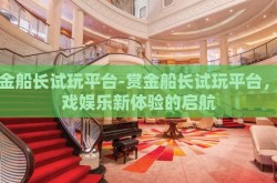 赏金船长试玩平台-赏金船长试玩平台，游戏娱乐新体验的启航