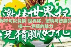 世界杯可以竞猜-世界杯，激情与智慧的碰撞——竞猜的魅力