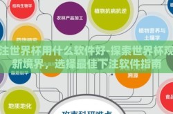 下注世界杯用什么软件好-探索世界杯观赛新境界，选择最佳下注软件指南