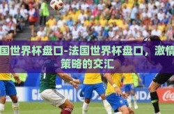 法国世界杯盘口-法国世界杯盘口，激情与策略的交汇