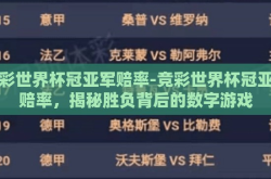 竞彩世界杯冠亚军赔率-竞彩世界杯冠亚军赔率，揭秘胜负背后的数字游戏