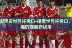 在哪里看世界杯盘口-探索世界杯盘口，球迷的观赛新视角
