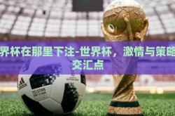 世界杯在那里下注-世界杯，激情与策略的交汇点