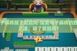 电子麻将胡了能赢吗-探索电子麻将的胜负之道，胡了能赢吗？