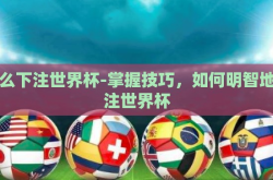 怎么下注世界杯-掌握技巧，如何明智地下注世界杯