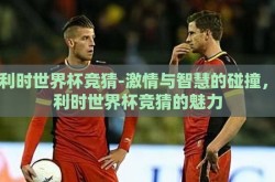 比利时世界杯竞猜-激情与智慧的碰撞，比利时世界杯竞猜的魅力