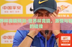 世界杯竞猜预测-世界杯竞猜，激情与智慧的碰撞
