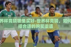 世界杯竞猜哪里买好-世界杯竞猜，如何选择合适的购买渠道