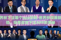世界杯下注哪个app好用-世界杯观赛新体验，探索高效下注APP的奥秘