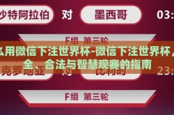 怎么用微信下注世界杯-微信下注世界杯，安全、合法与智慧观赛的指南