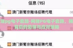 网赌pg电子套路-网赌PG电子套路，揭秘背后的陷阱与应对策略