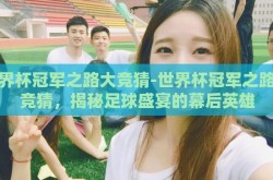 世界杯冠军之路大竞猜-世界杯冠军之路大竞猜，揭秘足球盛宴的幕后英雄