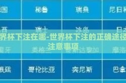 世界杯下注在哪-世界杯下注的正确途径与注意事项