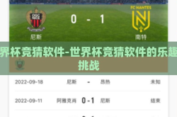 世界杯竞猜软件-世界杯竞猜软件的乐趣与挑战