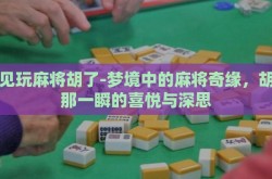 梦见玩麻将胡了-梦境中的麻将奇缘，胡了那一瞬的喜悦与深思