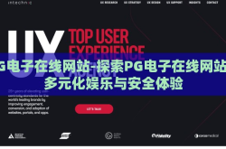 PG电子在线网站-探索PG电子在线网站的多元化娱乐与安全体验