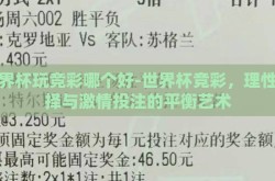 世界杯玩竞彩哪个好-世界杯竞彩，理性选择与激情投注的平衡艺术